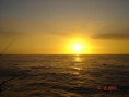 /album/pescaria-bertioga-sp-alto-mar-04-02-2012/dsc04451-800x600-jpg/